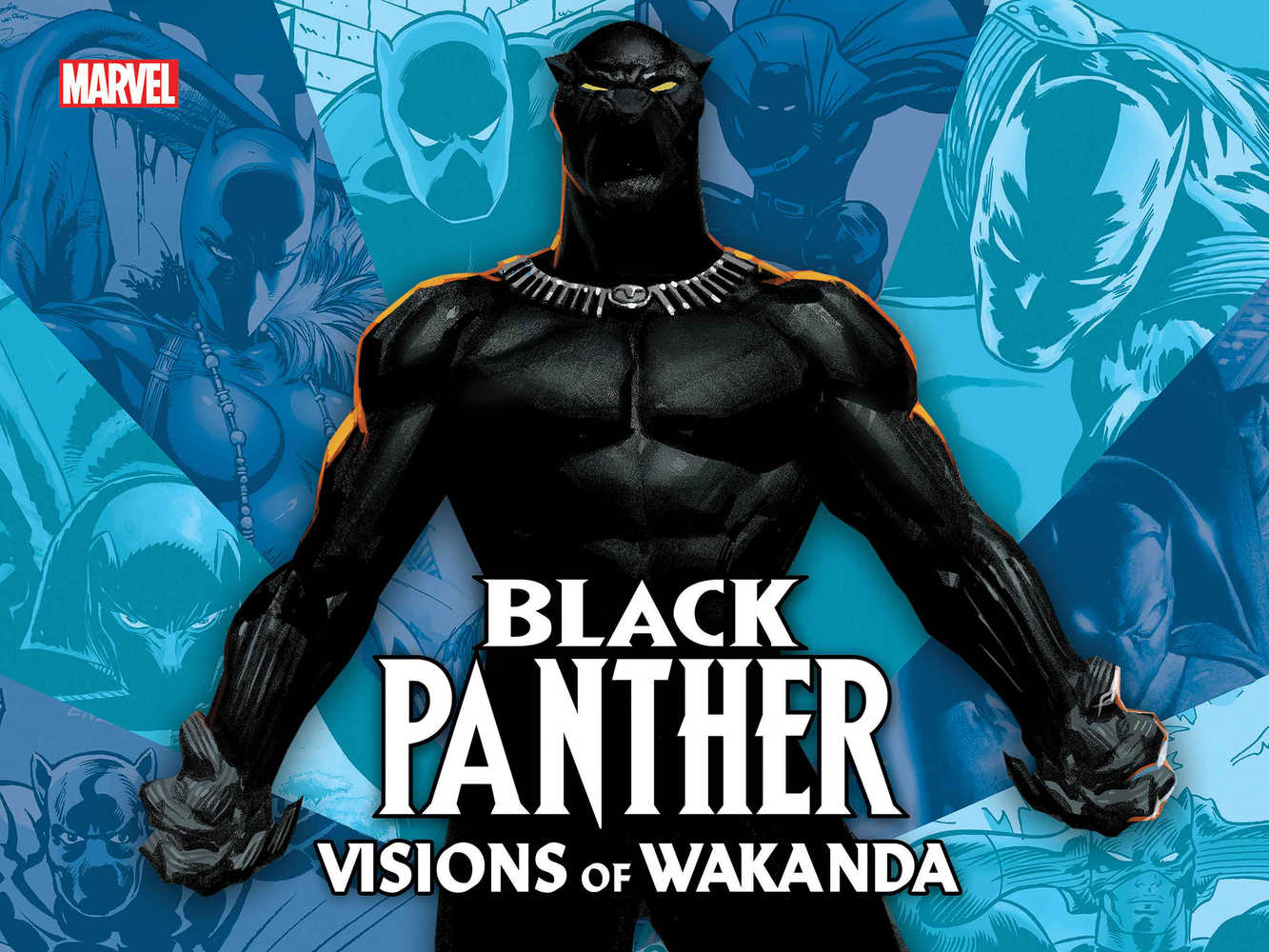 BLACK PANTHER HC VISIONS OF WAKANDA | Odin's Place