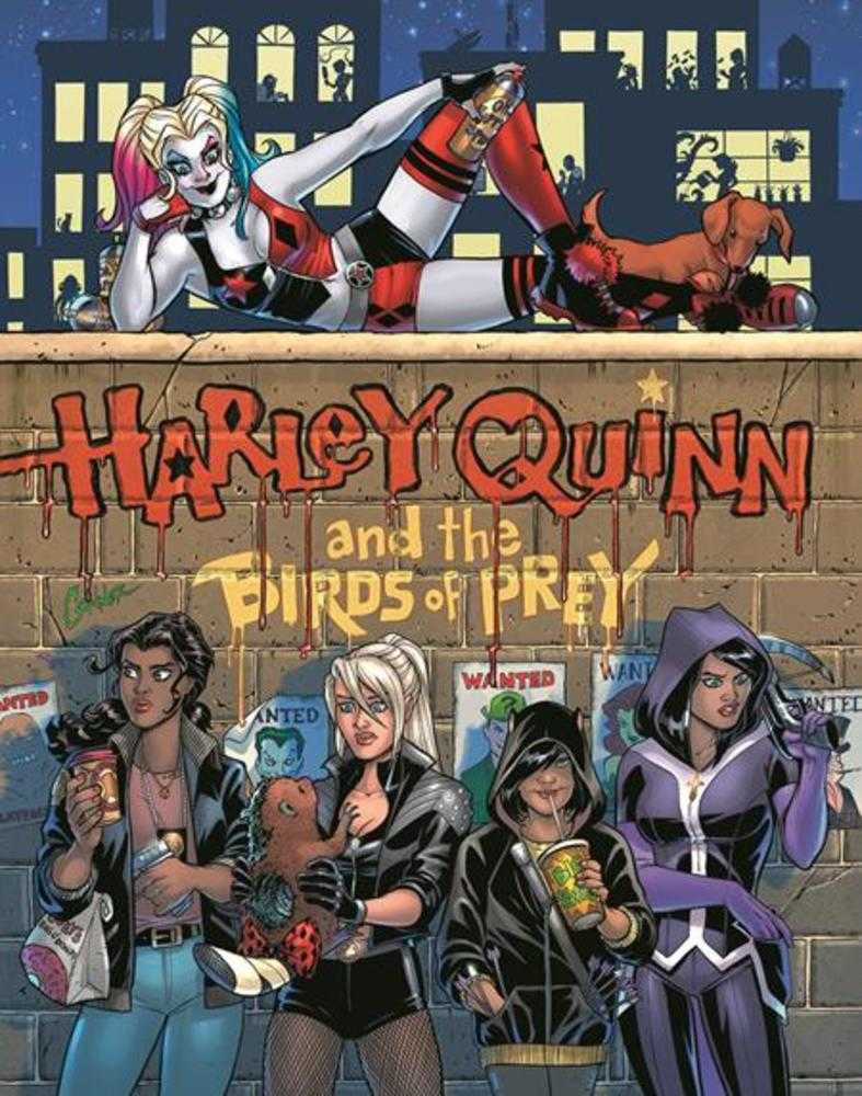 Harley Quinn And The Birds Of Prey The Hunt For Harley Hardcover (Mature) | Odin's Place