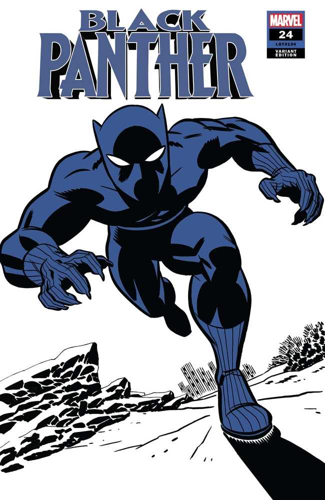 Black Panther #24 Michael Cho Black Panther Two-Tone Variant | Odin's Place