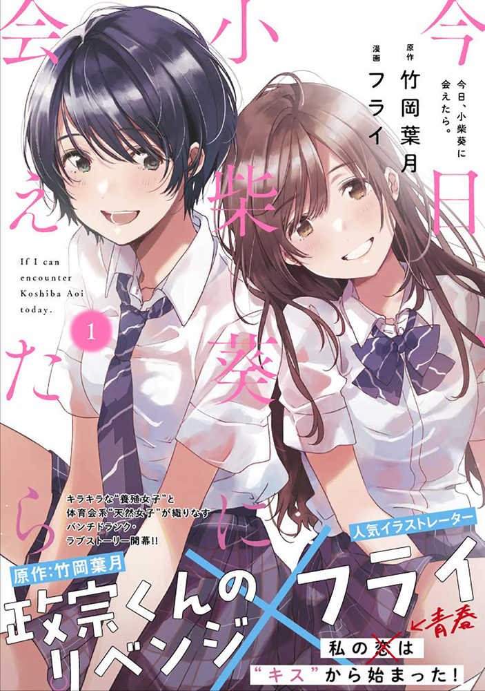 Chasing After Aoi Koshiba Graphic Novel Volume 01 (Mature) | Odin's Place