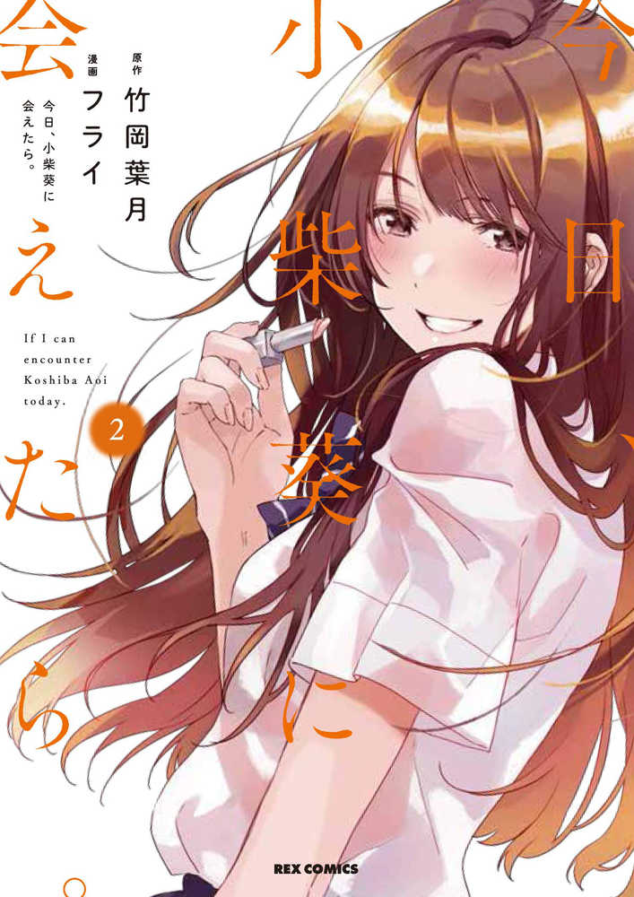 Chasing After Aoi Koshiba Graphic Novel Volume 02 (Mature) | Odin's Place