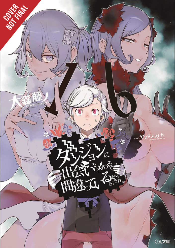 Is Wrong Pick Up Girls Dungeon Novel Softcover Volume 16 (Mature) | Odin's Place