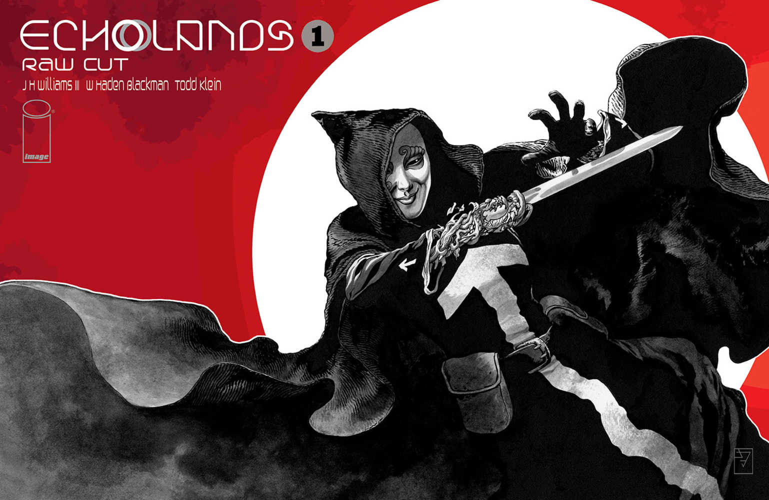 Echolands Raw Cut Edition #1 Cover B Williams III (Mature) | Odin's Place