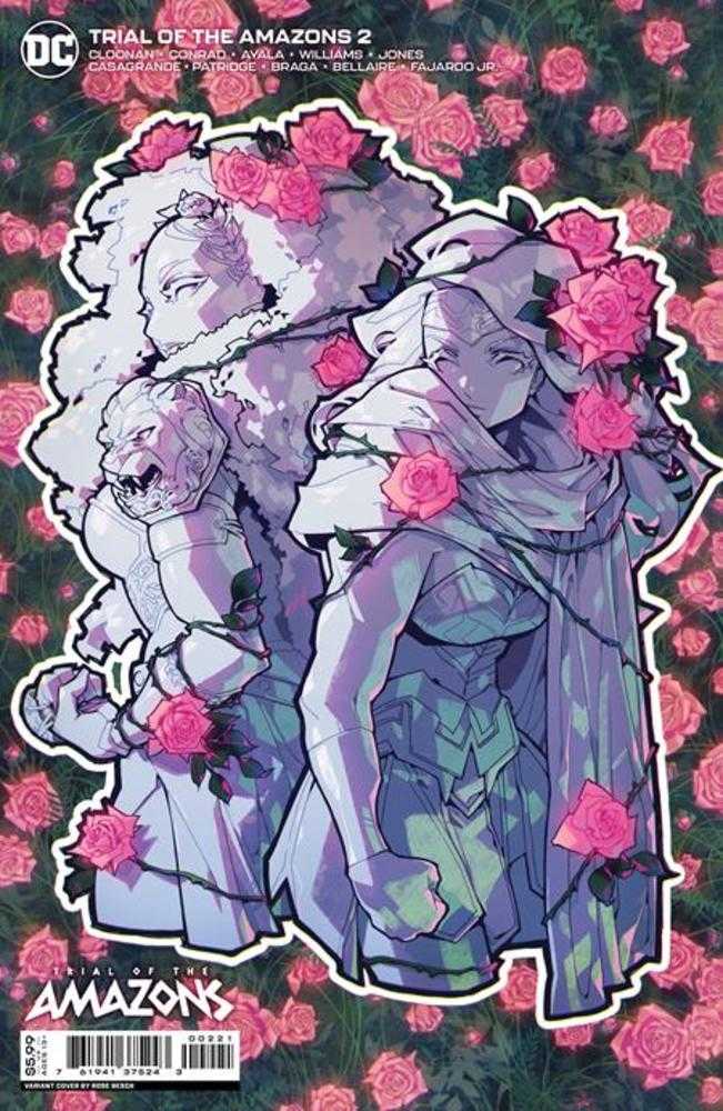 Trial Of The Amazons #2 (Of 2) Cover B Rose Besch Card Stock Variant | Odin's Place