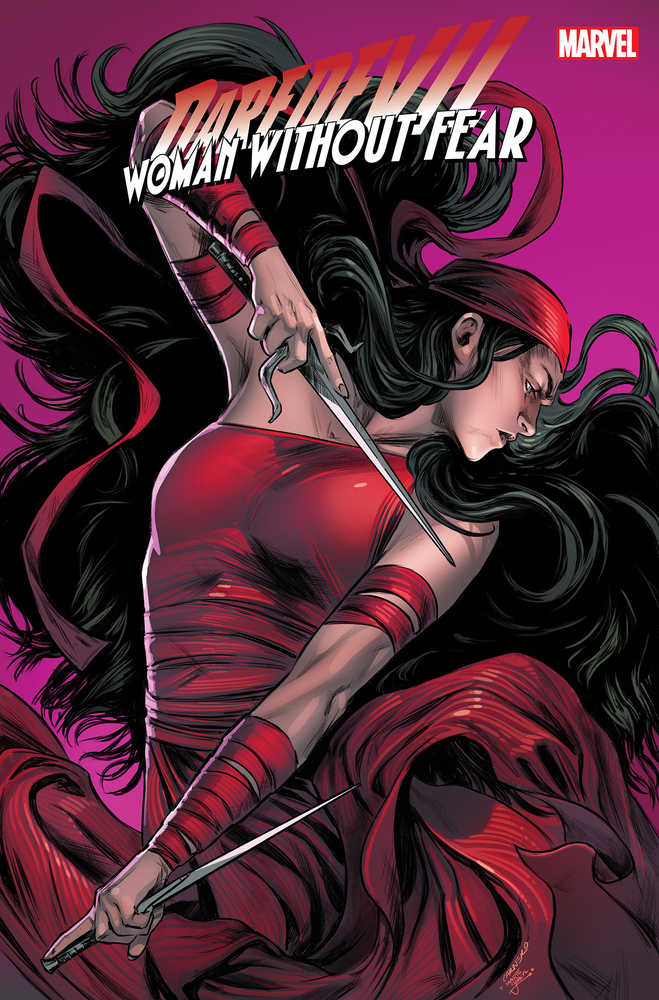Daredevil Woman Without Fear #3 (Of 3) Carnero Stormbreakers | Odin's Place