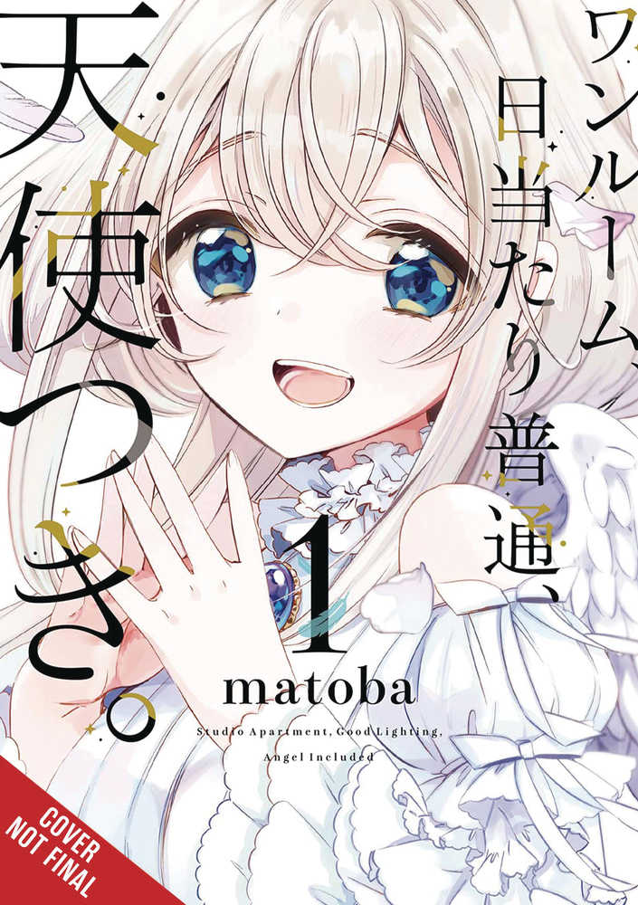 Studio Apt Good Lighting Angel Included Graphic Novel Volume 01 (Mature) | Odin's Place