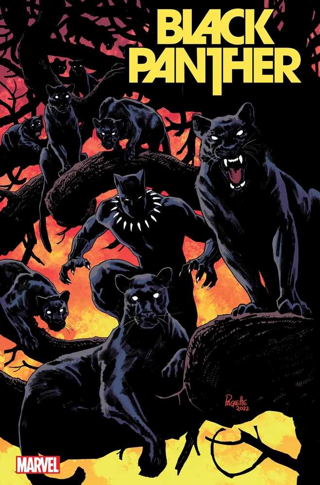 Black Panther #8 Paquette Variant | Odin's Place