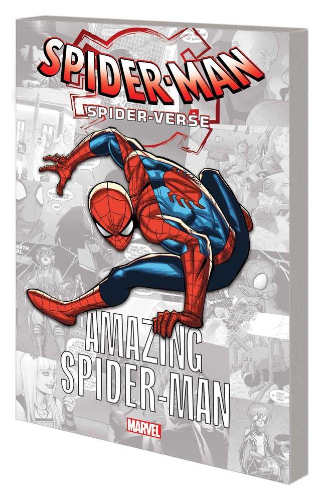 Spider-Verse Graphic Novel TPB Amazing Spider-Man | Odin's Place