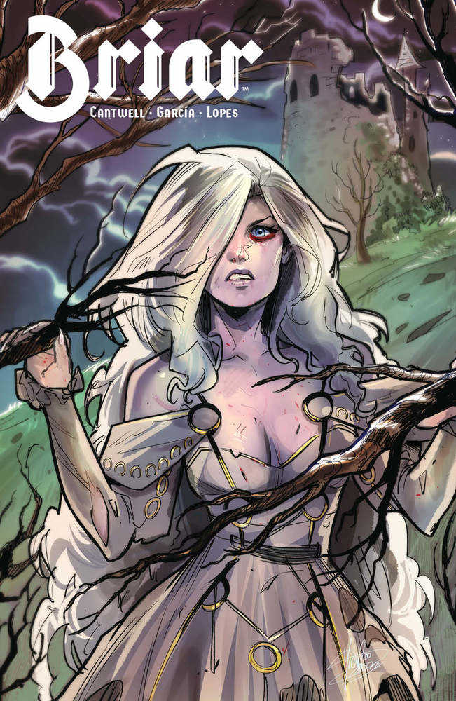 Briar #1 (Of 4) Cover C Andolfo | Odin's Place