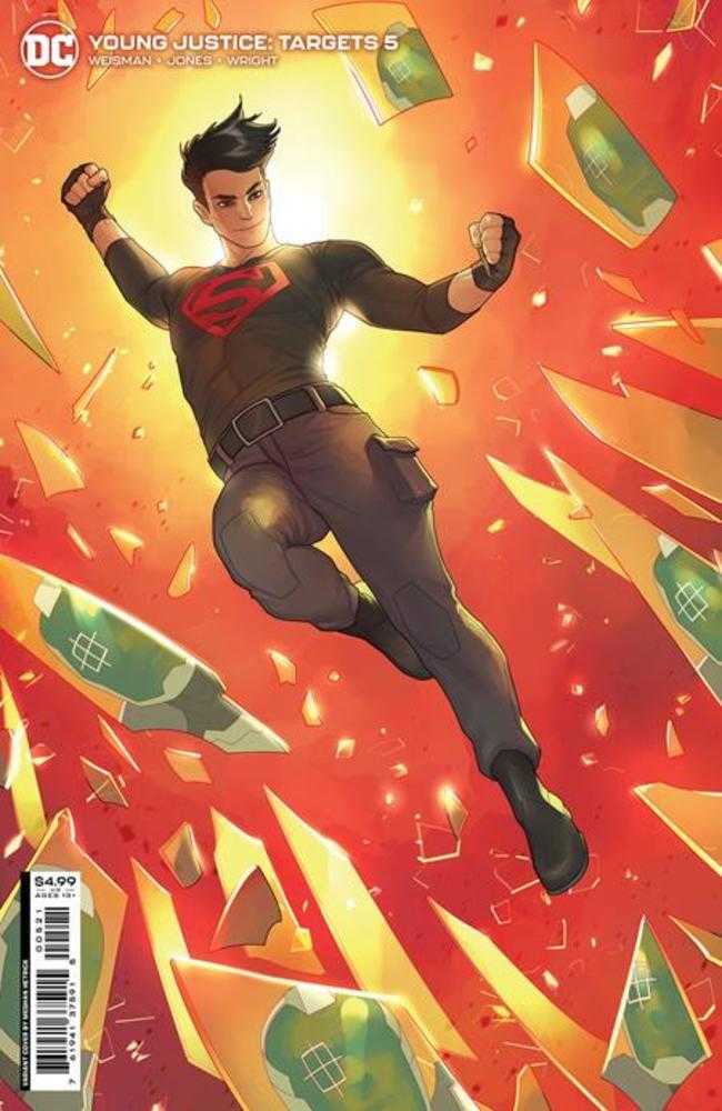 Young Justice Targets #5 (Of 6) Cover B Meghan Hetrick Card Stock Variant | Odin's Place