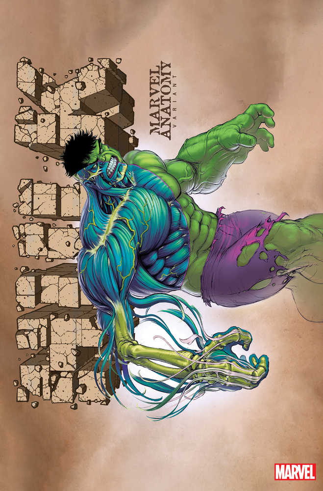 Hulk #11 Marvel Anatomy Lobe Variant | Odin's Place