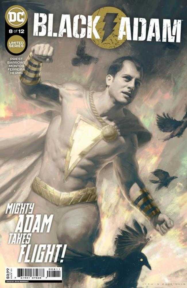 Black Adam #8 (Of 12) Cover A Irvin Rodriguez | Odin's Place