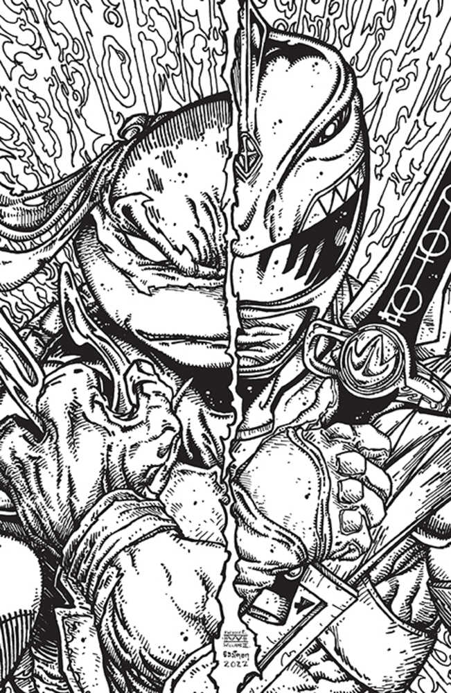 Mmpr Teenage Mutant Ninja Turtles II #3 (Of 5) Cover F 25 Copy Variant Edition Eastman & Williams | Odin's Place