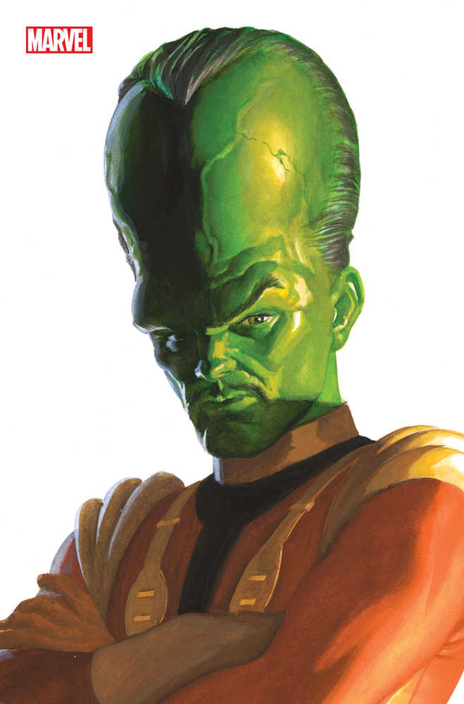 Hulk #13 Alex Ross Timeless Leader Full Art Variant | Odin's Place