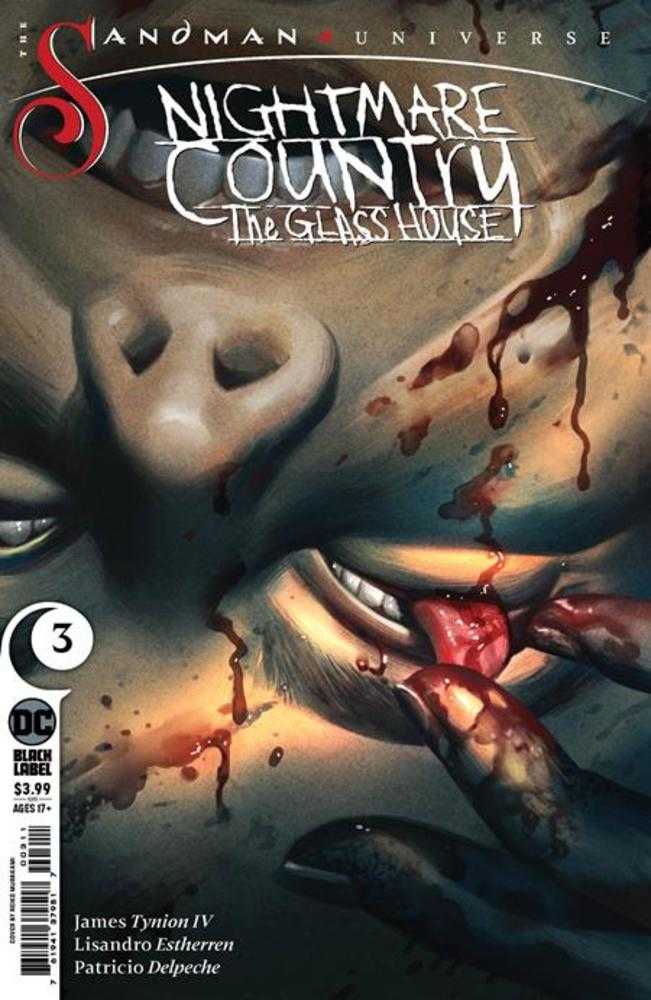 Sandman Universe Nightmare Country The Glass House #3 (Of 6) Cover A Reiko Murakami (Mature) | Odin's Place