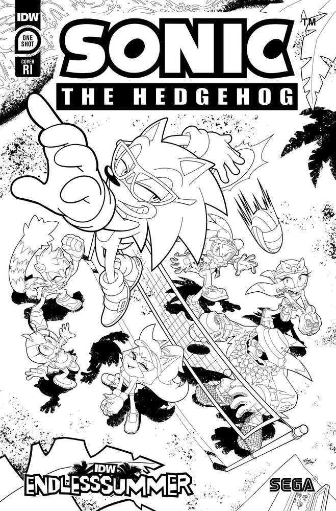 Idw Endless Summer--Sonic The Hedgehog Variant Ri (10) (Coloring Book Variant) | Odin's Place