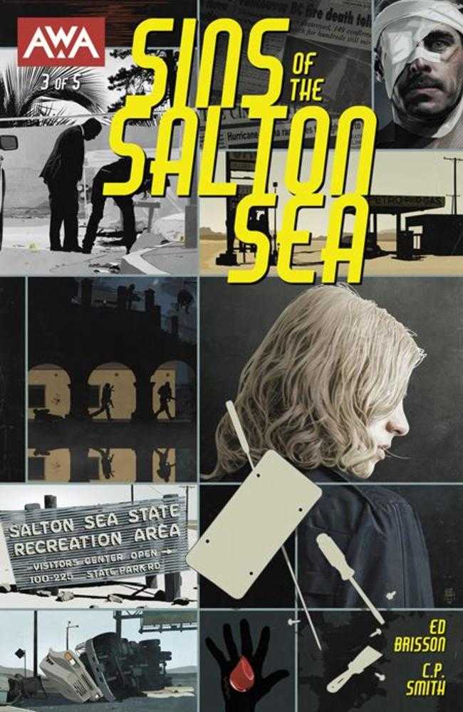 Sins Of The Salton Sea #3 (Of 5) Cover A Tim Bradstreet (Mature) | Odin's Place