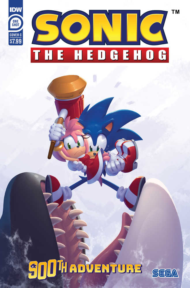 Sonic The Hedgehogs 900th Adventure Cover C Stanley | Odin's Place