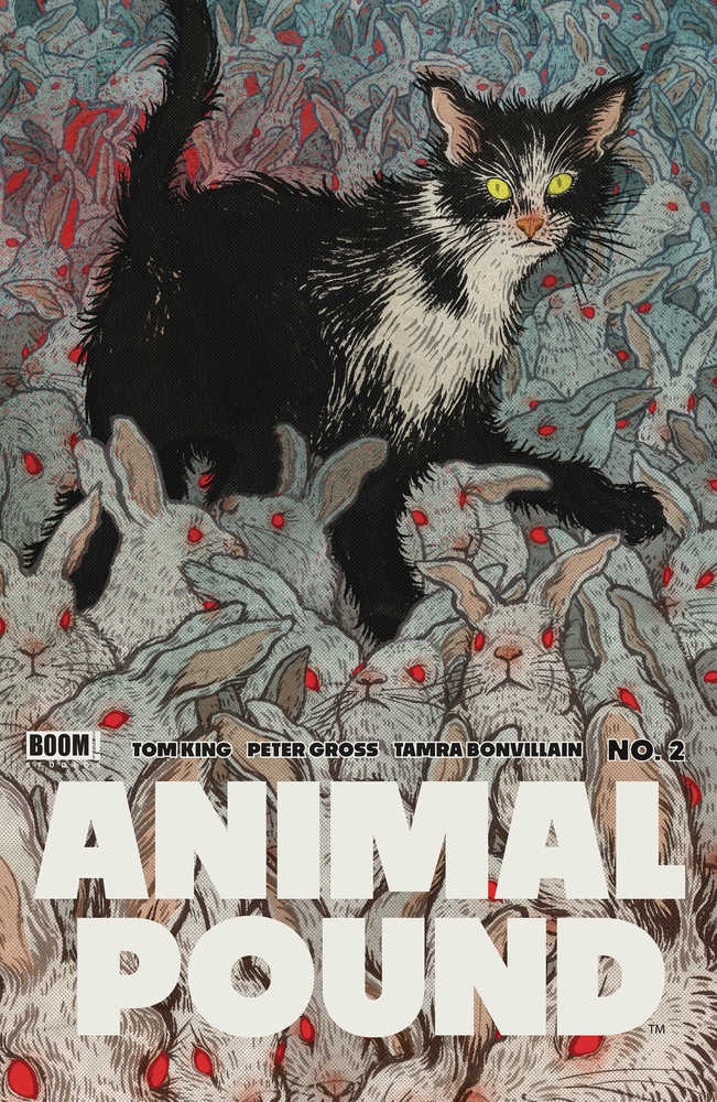 Animal Pound #2 (Of 5) Cover B Shimizu (Mature) | Odin's Place