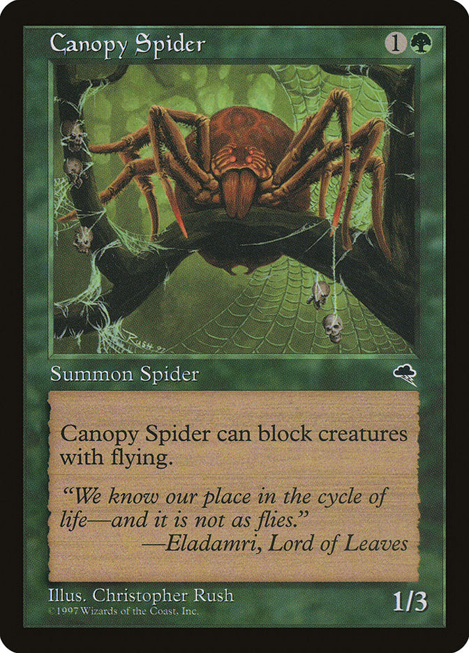 Canopy Spider [Tempest] | Odin's Place
