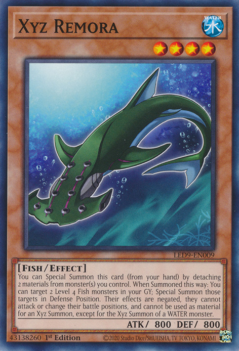 Xyz Remora [LED9-EN009] Common | Odin's Place
