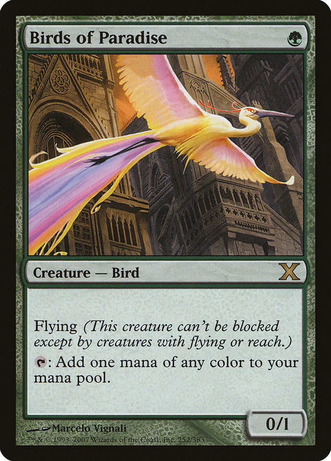 Birds of Paradise (252) [Tenth Edition] | Odin's Place