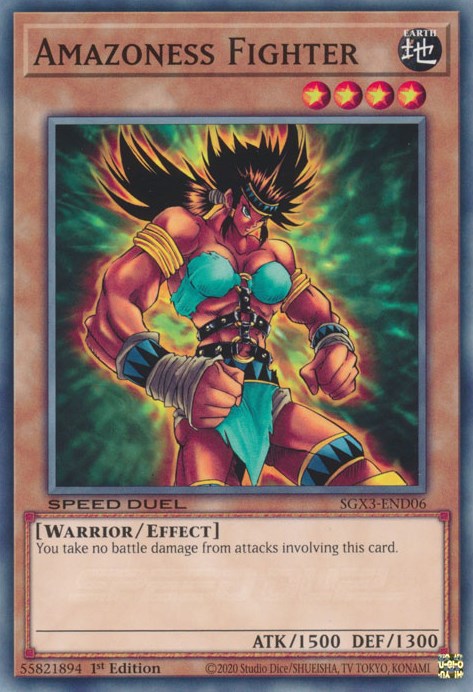 Amazoness Fighter [SGX3-END06] Common | Odin's Place