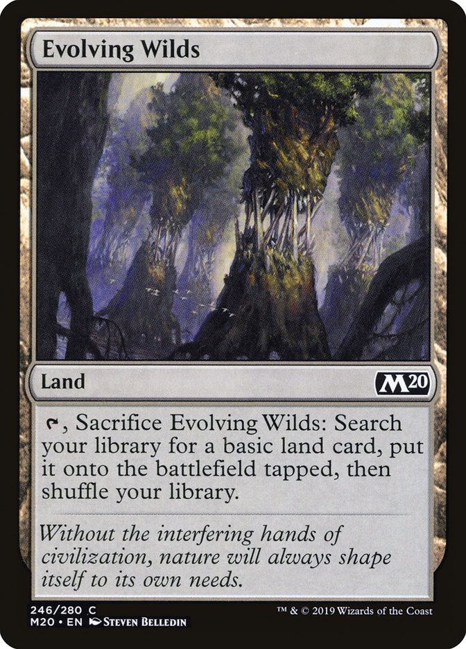 Evolving Wilds [Core Set 2020] | Odin's Place