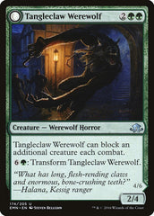Tangleclaw Werewolf // Fibrous Entangler [Eldritch Moon] | Odin's Place