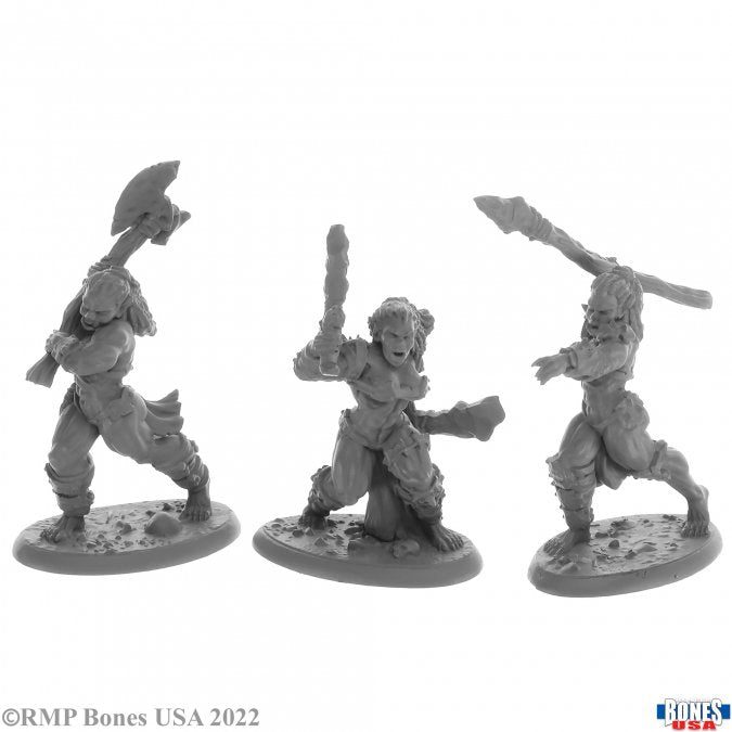 Reaper Bones: Jade Fire Warriors | Odin's Place