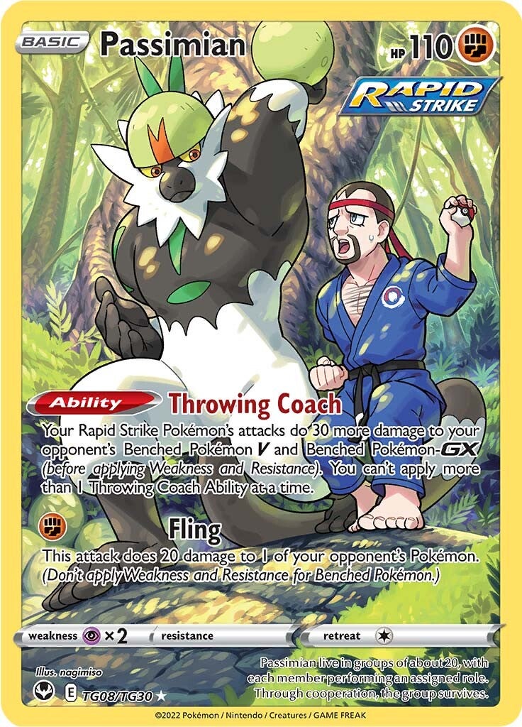 Passimian (TG08/TG30) [Sword & Shield: Silver Tempest] | Odin's Place