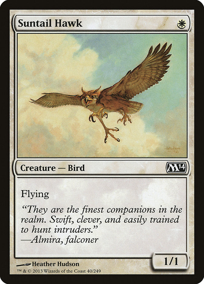 Suntail Hawk (40) [Magic 2014] | Odin's Place
