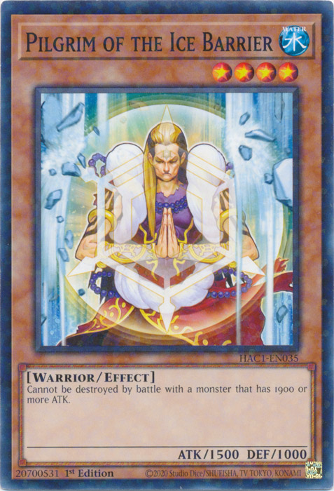 Pilgrim of the Ice Barrier (Duel Terminal) [HAC1-EN035] Common | Odin's Place