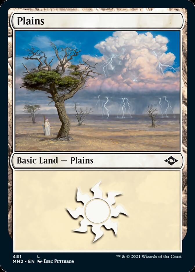 Plains (481) (Foil Etched) [Modern Horizons 2] | Odin's Place