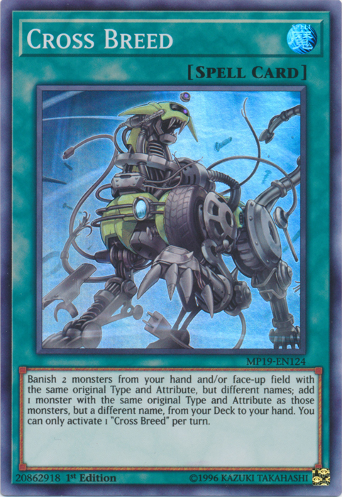 Cross Breed [MP19-EN124] Super Rare | Odin's Place
