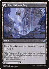 Blackbloom Rogue // Blackbloom Bog [Zendikar Rising] | Odin's Place