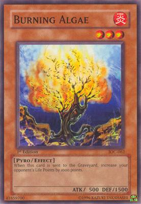 Burning Algae [IOC-062] Common | Odin's Place
