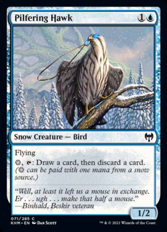 Pilfering Hawk [Kaldheim] | Odin's Place