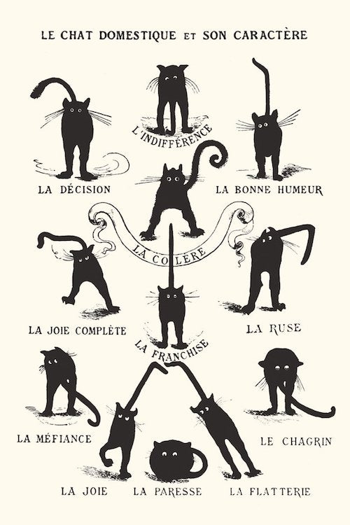 Poster: Le Chat | Odin's Place