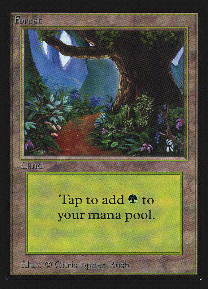 Forest (Flower Path) [Collectors' Edition] | Odin's Place