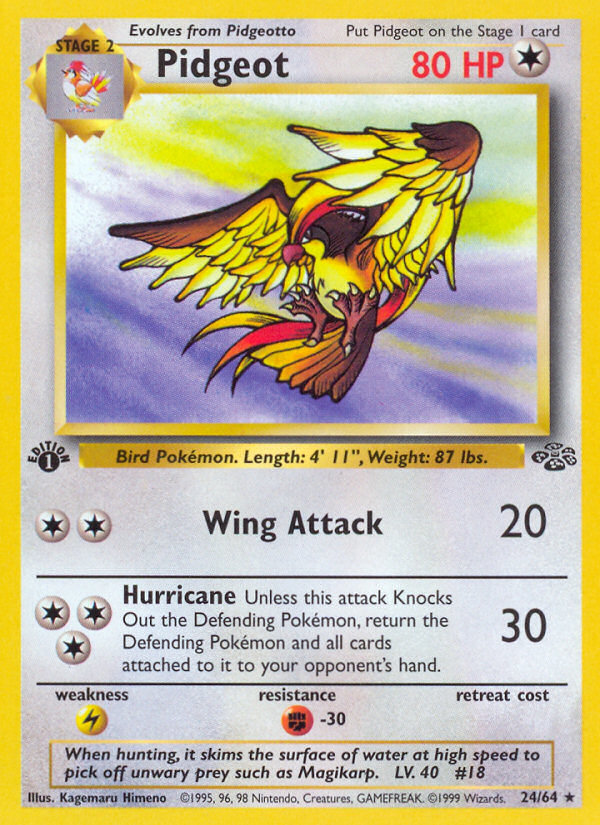 Pidgeot (24/64) [Jungle 1st Edition] | Odin's Place