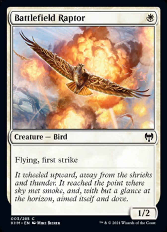 Battlefield Raptor [Kaldheim] | Odin's Place