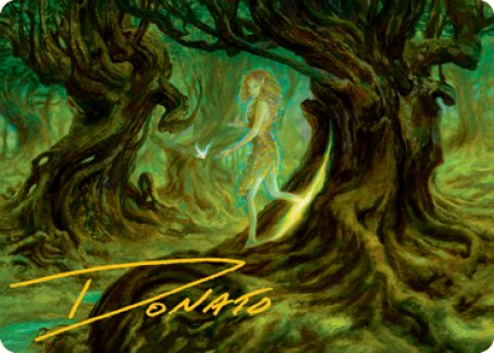 Neverwinter Dryad Art Card (Gold-Stamped Signature) [Dungeons & Dragons: Adventures in the Forgotten Realms Art Series] | Odin's Place