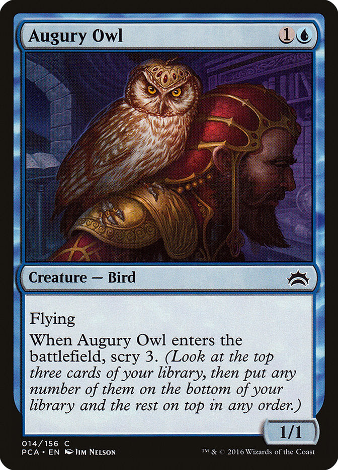 Augury Owl (14) [Planechase Anthology] | Odin's Place