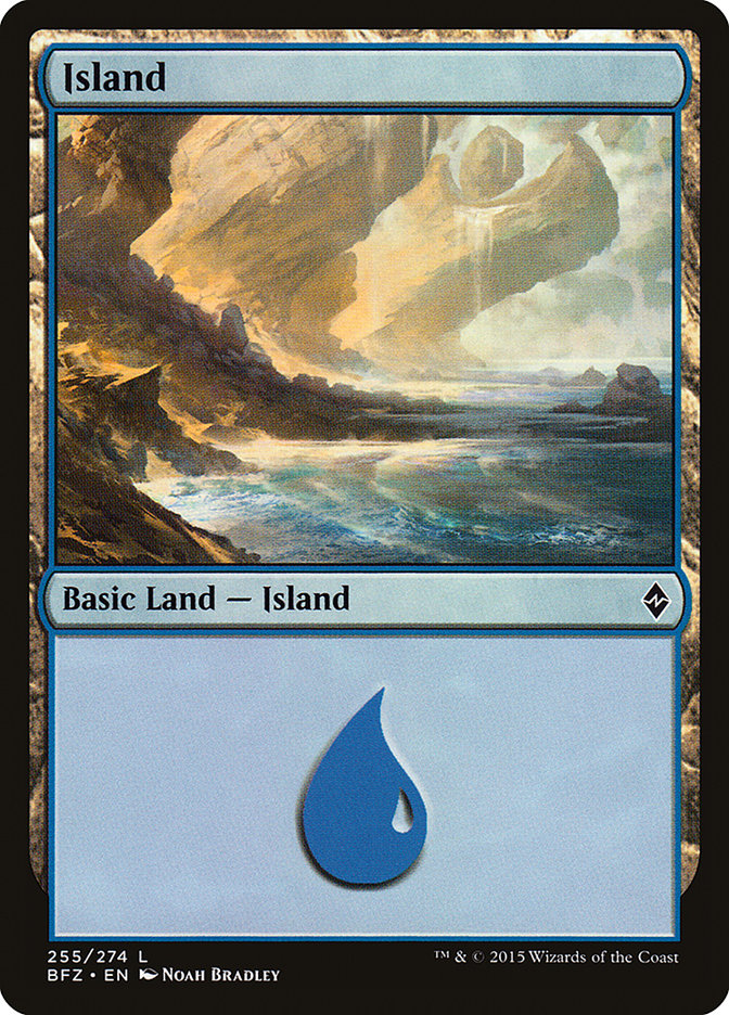 Island (255) [Battle for Zendikar] | Odin's Place