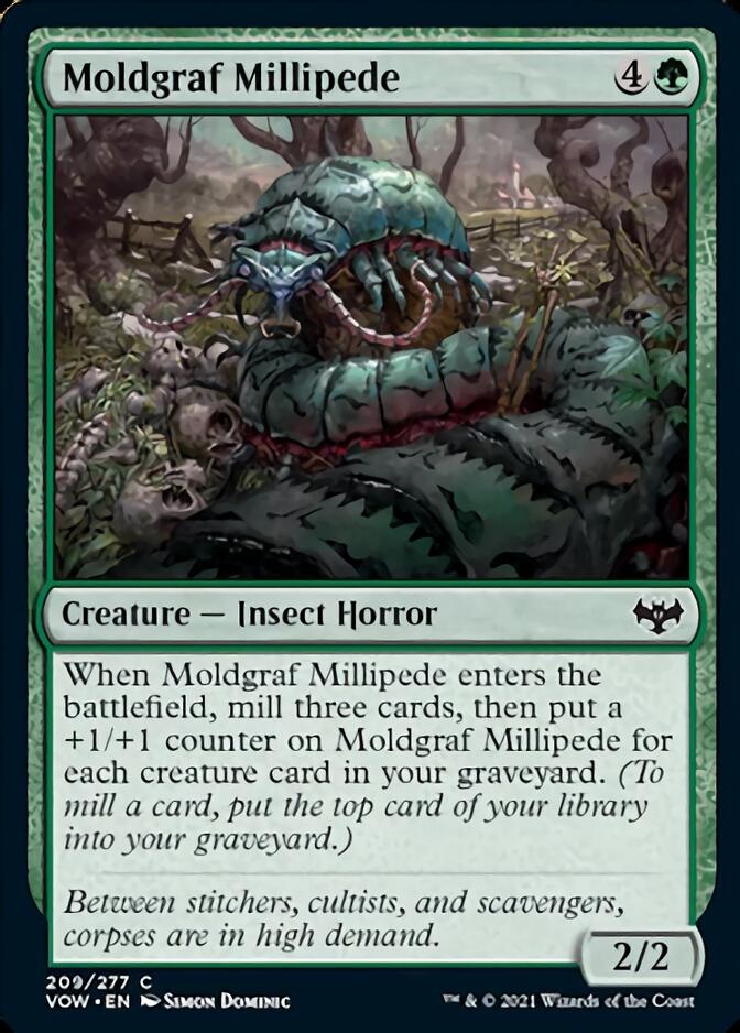 Moldgraf Millipede [Innistrad: Crimson Vow] | Odin's Place