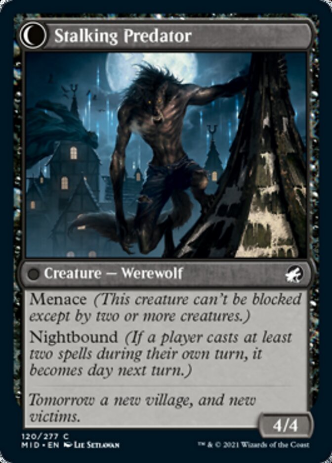 Shady Traveler // Stalking Predator [Innistrad: Midnight Hunt] | Odin's Place