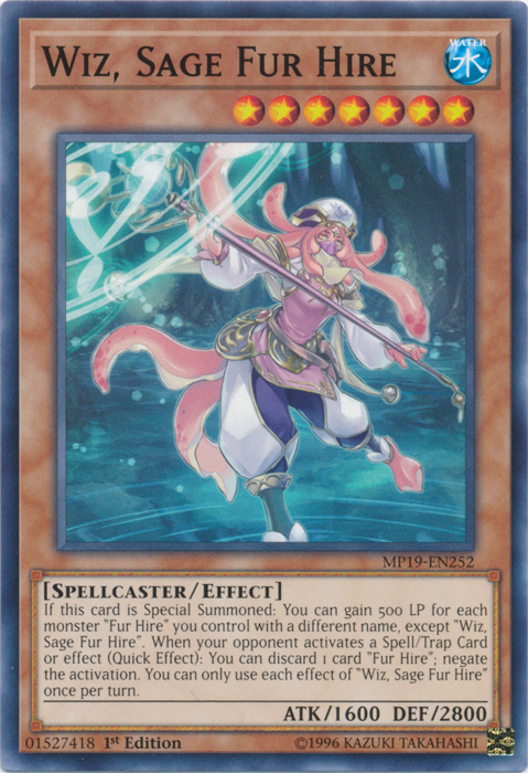 Wiz, Sage Fur Hire [MP19-EN252] Common | Odin's Place