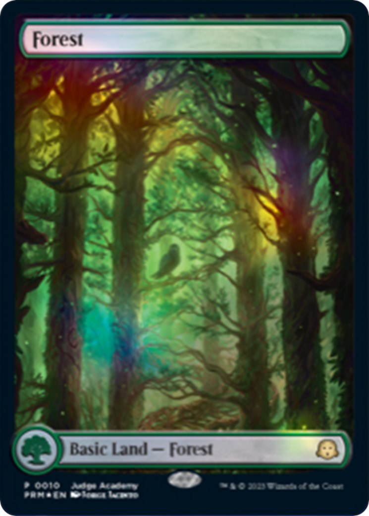 Forest [Judge Gift Cards 2023] | Odin's Place