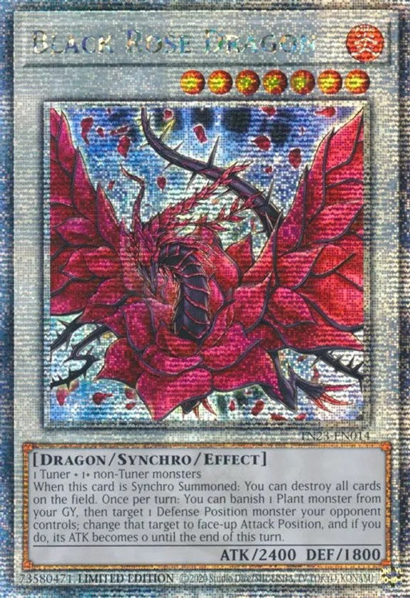 Black Rose Dragon [TN23-EN014] Quarter Century Secret Rare | Odin's Place